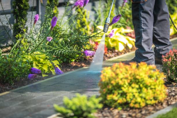 Best Patio and Deck Pressure Washing  in Port Orange, FL